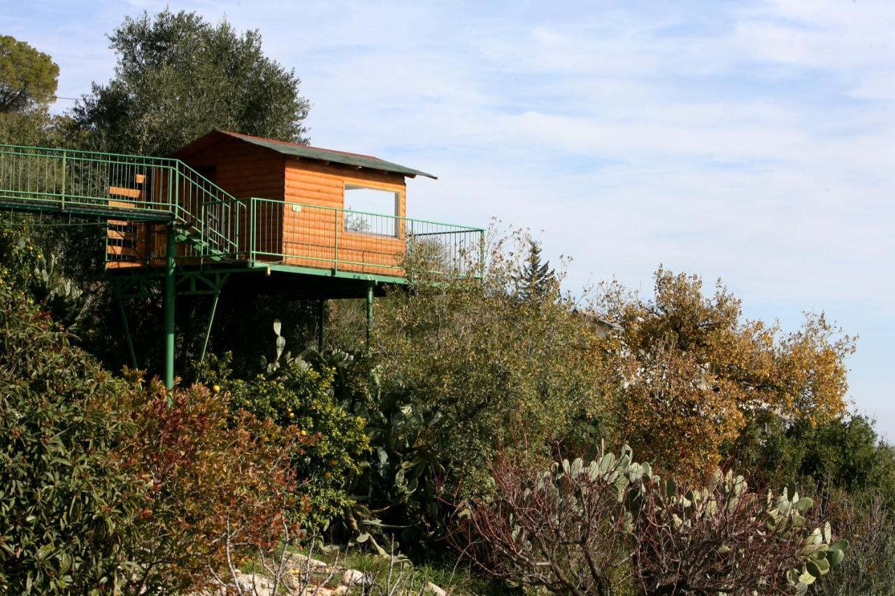 Switzerland In Amirim Vila Exterior foto