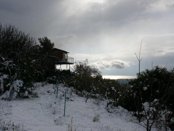 Switzerland In Amirim Vila Exterior foto